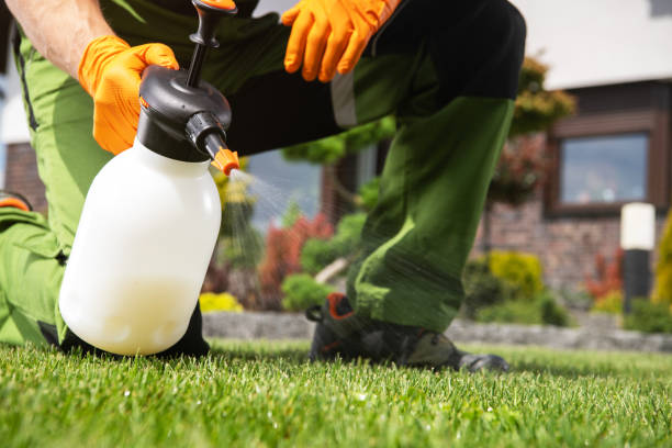 Pest Control for Restaurants in Two Harbors, MN