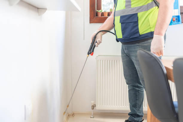 Best Cockroach Control Services  in Two Harbors, MN