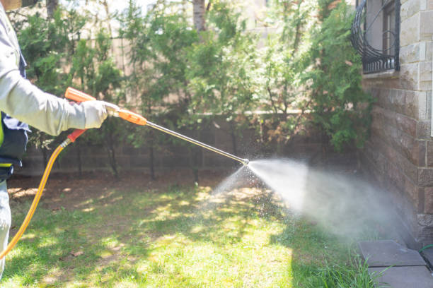 Bird Control in Two Harbors, MN