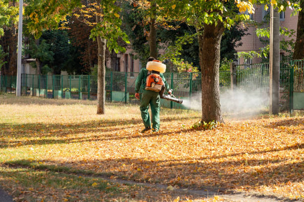 Best Local Pest Control Services  in Two Harbors, MN