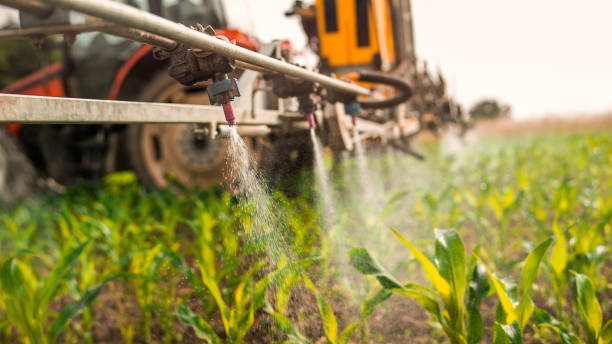 Reliable Two Harbors, MN Pest Control Solutions